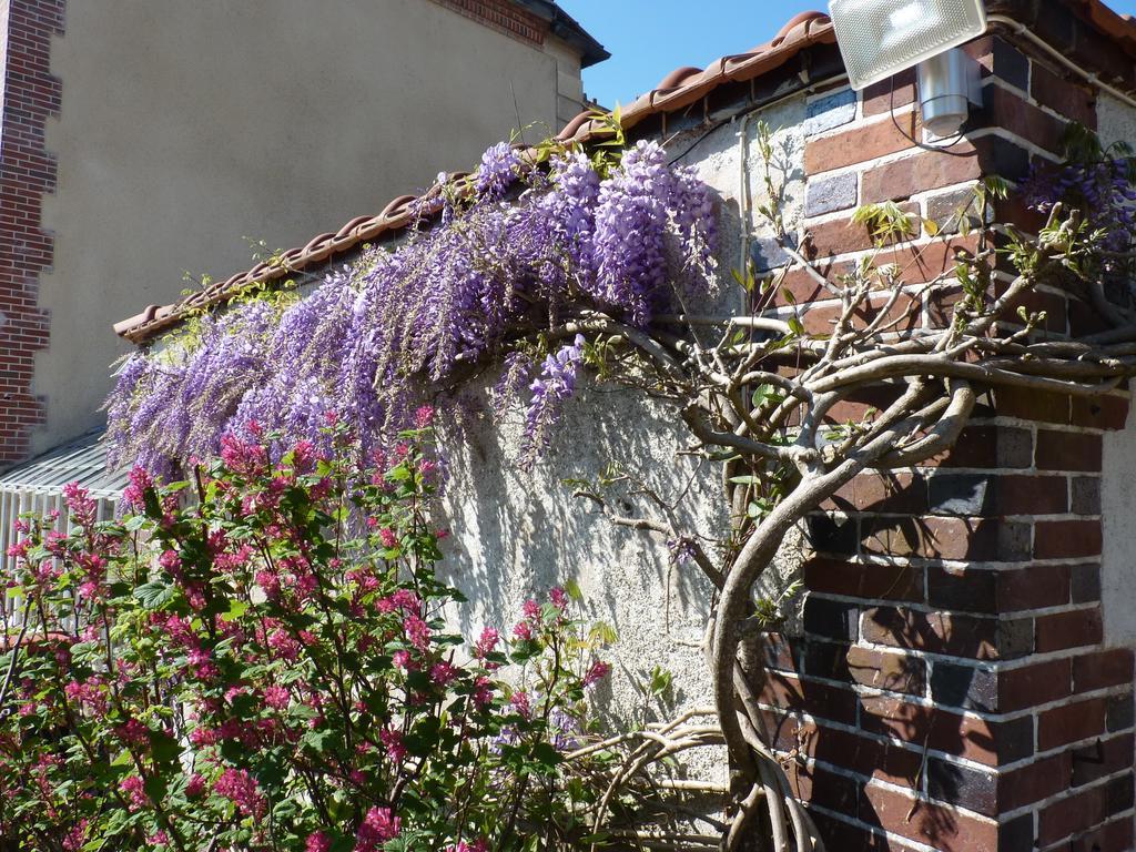 Le Clos Saint Nicolas Chateau-Renard Luaran gambar